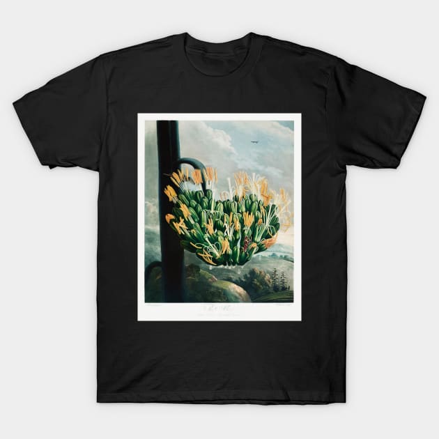 The Aloe from the Temple of Flora T-Shirt by Cleopsys